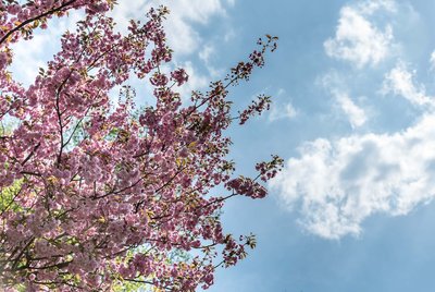 4 Sterne Parkhotel Rothof München im Frühling